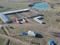 Комплекс «Убойный пункт по МРС» откормочная база. · 960 м² за 2.6 млрд ₸ в Самсы — фото 4