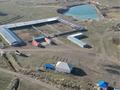 Комплекс «Убойный пункт по МРС» откормочная база. · 960 м² за 2.6 млрд ₸ в Самсы — фото 5
