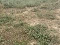 Участок · 6.16 соток, 616 33/46 за 2.8 млн ₸ в  — фото 2