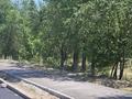 Участок · 9 соток, Ташкентская за 130 млн ₸ в Иргели — фото 3