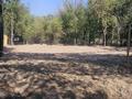 Участок · 9 соток, Ташкентская за 130 млн ₸ в Иргели — фото 6