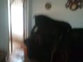 Отдельный дом · 3 комнаты · 60 м² · 6 сот., Теплова 24 — Абая Теплова за 19 млн ₸ в Павлодаре — фото 15