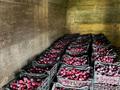 Участок · 9.2 га, 056 кварталл 63-64 за 45 млн ₸ в Жанаталап — фото 16
