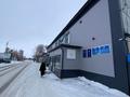 Свободное назначение · 660 м² за 50 млн ₸ в Боровском — фото 4