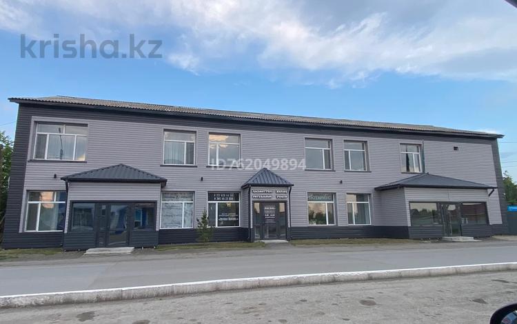 Свободное назначение · 660 м² за 50 млн ₸ в Боровском — фото 26