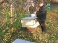 Дача · 2 комнаты · 40 м² · 24 сот., Урожайная 19 — Турарские дачи, "Вагонник" за 9 млн ₸ — фото 31