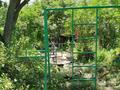 Дача · 2 комнаты · 40 м² · 24 сот., Урожайная 19 — Турарские дачи, "Вагонник" за 9 млн ₸ — фото 11