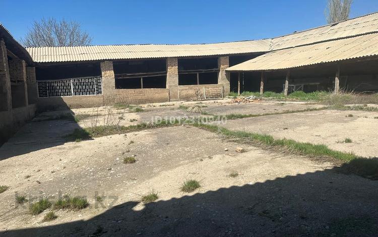 Промбаза · 1 га, мкр Бадам-1 17а — Ботай тобе 17а за 150 000 ₸ в Шымкенте, Енбекшинский р-н — фото 2