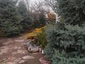 Жеке үй · 7 бөлме · 324 м² · 8.8 жүзд., Кемел ш/а. 10, бағасы: 135 млн ₸ в Алматы, Жетысуский р-н — фото 3