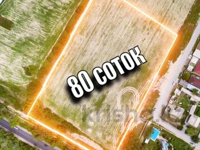 Участок · 80 соток, Байкент за 80 млн ₸ в Чапаево