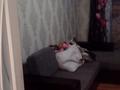 1-комнатная квартира · 44 м² · 8/10 этаж, Старый город, Набережная 80 за 14 млн ₸ в Актобе — фото 2
