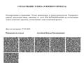 Участок · 11.4 сотки, Шуленова 18 — Шуленова 18 за 29.5 млн ₸ в Бирлик — фото 17