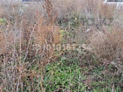 Участок · 10 соток, Верхный магистрал 78 за 7 млн 〒 в Усть-Каменогорске