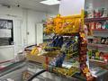 Продуктовый магазин [БЕРЕКЕ] · 60.6 м², бағасы: 27 млн ₸ в Акмоле — фото 8