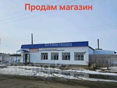 Еркін · 620.8 м², бағасы: 35 млн ₸ в Шарбакты
