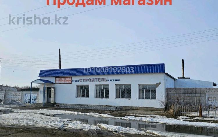 Еркін · 620.8 м², бағасы: 35 млн ₸ в Шарбакты — фото 10