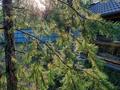 Отдельный дом · 4 комнаты · 110 м² · 19 сот., Щербаково за 85 млн 〒 в Костанайской обл. — фото 4