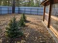Отдельный дом · 4 комнаты · 110 м² · 19 сот., Щербаково за 85 млн 〒 в Костанайской обл. — фото 6