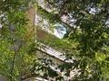 1-бөлмелі пәтер · 32 м² · 4/5 қабат, кремлевская 10 — СПИД Центра, бағасы: 15 млн ₸ в Шымкенте, Туран р-н — фото 9