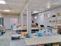 Қоғамдық тамақтану орны · 300 м², бағасы: 235 млн ₸ в Алматы, Алатауский р-н — фото 33