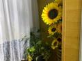 2-бөлмелі пәтер · 54 м² · 3/5 қабат, Водник 30, бағасы: 25.5 млн ₸ в Боралдае (Бурундай), мкр Водник-1 — фото 17