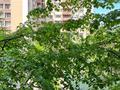 4-бөлмелі пәтер · 90.1 м² · 3/9 қабат, мкр Алмагуль, Гагарина — Байкадамова, бағасы: 100 млн ₸ в Алматы, Бостандыкский р-н — фото 22