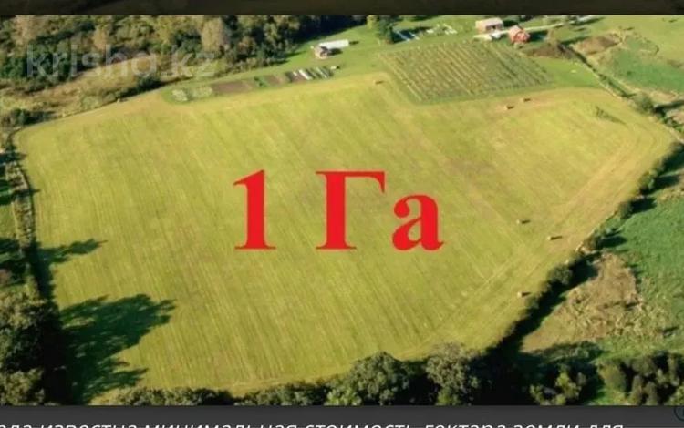 Жер телімі · 1 га, Е 689 3/3, бағасы: 100 млн ₸ в Астане, Нура р-н — фото 3