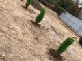Отдельный дом · 4 комнаты · 100 м² · 7 сот., Светлая 5 — Пкст Звезда за 18.1 млн ₸ в Каскелене — фото 2