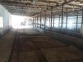 Сельское хозяйство • 1000 м² за 69 млн 〒 в Шымкенте, Туран р-н — фото 9