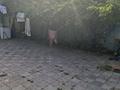 Часть дома · 1 комната · 32 м², Райымбека 407а/2 — Петрова за 150 000 〒 в Алматы, Ауэзовский р-н