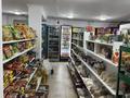 Магазины и бутики · 174 м² за 500 000 ₸ в Шымкенте, Абайский р-н — фото 3