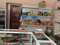 Уланский р-н село Изгутты Айтыкова · 120 м², бағасы: 30 млн ₸ в Усть-Каменогорске, Ульбинский — фото 6