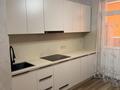 1-комнатная квартира · 40 м² · 11/12 этаж, Райымбека 253 за 300 000 ₸ в Алматы, Жетысуский р-н — фото 3