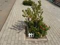 4-бөлмелі пәтер · 58.1 м² · 2/5 қабат, Бокейханова 14 — Находится возле стадиона металлургов, бағасы: 18.5 млн ₸ в Балхаше — фото 17