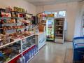 Отдельный дом · 3 комнаты · 160 м² · 10 сот., Село Ногайбай Б.Момышулы 24 — Магазин Береке за 15 млн 〒 в Кордае — фото 16