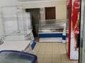 Магазины и бутики · 50 м² за 3.5 млн ₸ в Акмолинской обл., Новорыбинка
