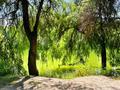 Участок · 3.67 га, мкр Кольсай — Солдатское озеро за 800 млн ₸ в Алматы, Медеуский р-н — фото 22
