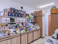 Свободное назначение, магазины и бутики, общепит · 107 м² за ~ 150 млн ₸ в Астане, Алматы р-н — фото 5