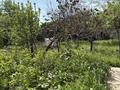 Свободное назначение · 100 м² за 350 000 ₸ в Алматы, Наурызбайский р-н — фото 9