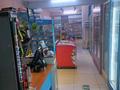 Продуктовый магазин с проходимости, 55.5 м² за ~ 8.2 млн 〒 в Алматы, Алмалинский р-н — фото 11