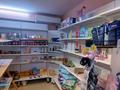 Продуктовый магазин с проходимости, 55.5 м² за ~ 8.2 млн 〒 в Алматы, Алмалинский р-н — фото 3