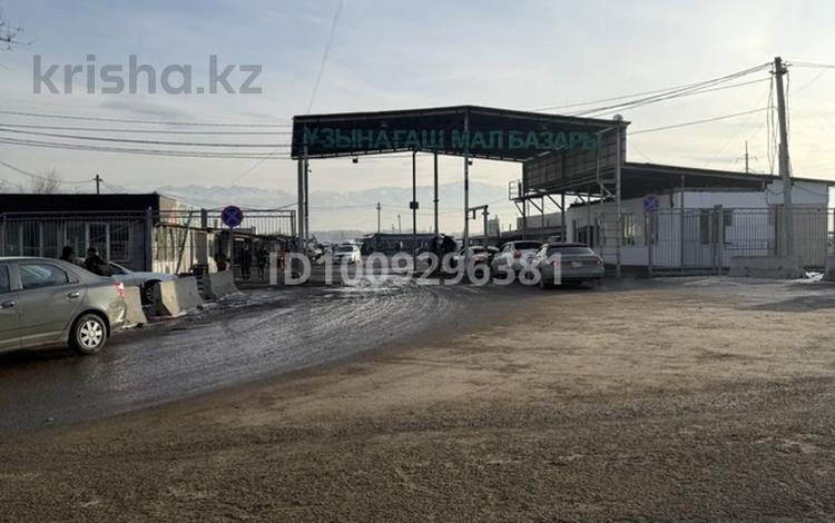 Участок · 2.31 га, Узынагаш за 55 млн ₸ — фото 2