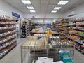Магазины и бутики · 1029.8 м² за 240 млн ₸ в Талгаре — фото 2
