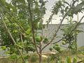 Отдельный дом · 9 комнат · 500 м² · 10 сот., 4 — Мкр. Гулден за 37 млн ₸ в Атырау — фото 29