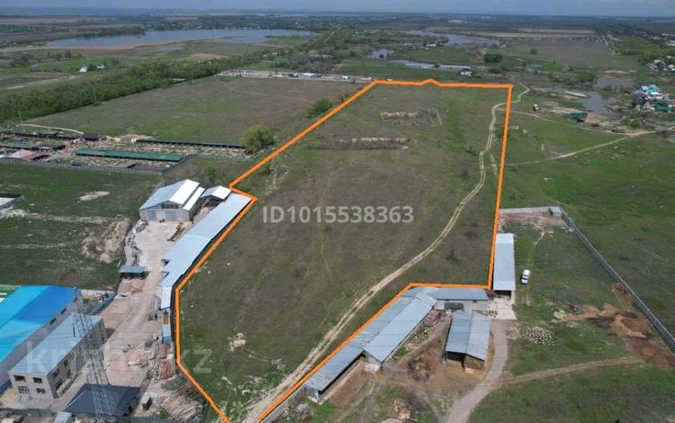 Жер телімі · 10 га, Байсерке, бағасы: ~ 109.3 млн ₸ — фото 2