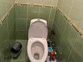 Отдельный дом · 4 комнаты · 150 м² · 8 сот., Шевченко 176 за 31 млн ₸ в Талдыкоргане — фото 13