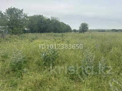 Жер телімі · 3.5 га, Коксай (Путь Ильича), бағасы: 150 млн ₸