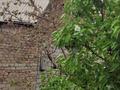 Дача · 2 комнаты · 12 м² · 6 сот., Шайкорган, улица 9 20 за 3.5 млн ₸ в Талдыкоргане — фото 5