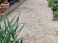 Отдельный дом · 2 комнаты · 40 м² · 6 сот., Вильгельма пика — Бывшего садика Нурбобек за 9 млн ₸ в Риддере — фото 4