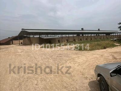 Зауыт · 17 га, АқБұра ата 117 — Сарыағаш Дарбаза жолы бойында, бағасы: 280 млн ₸ в Сарыагаш